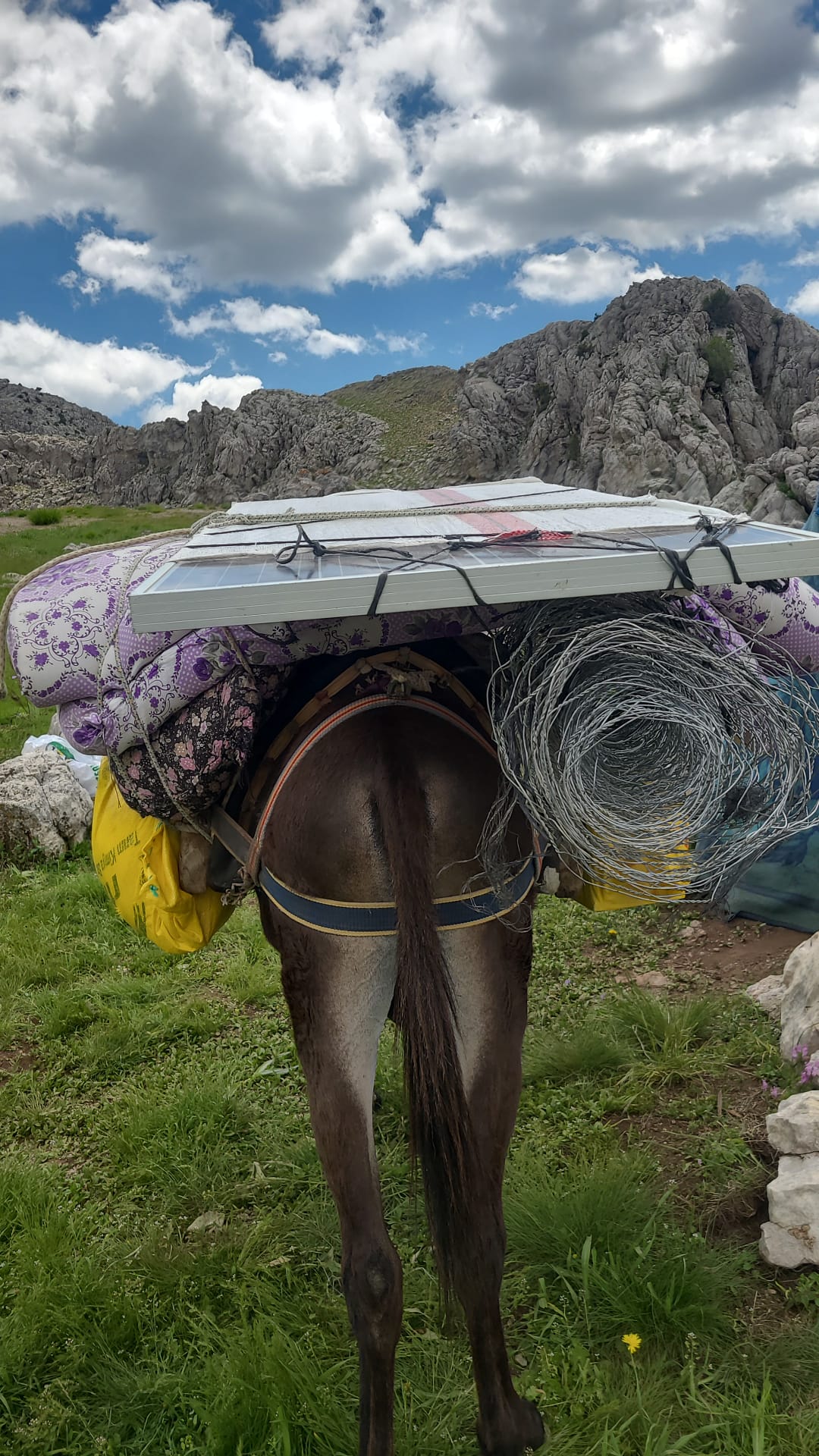 Antalya'da Sıcaklar Başladı, Yörükler Toroslar ve Küpe Yaylası'na Doğru Yola Çıktı - Görsel 10