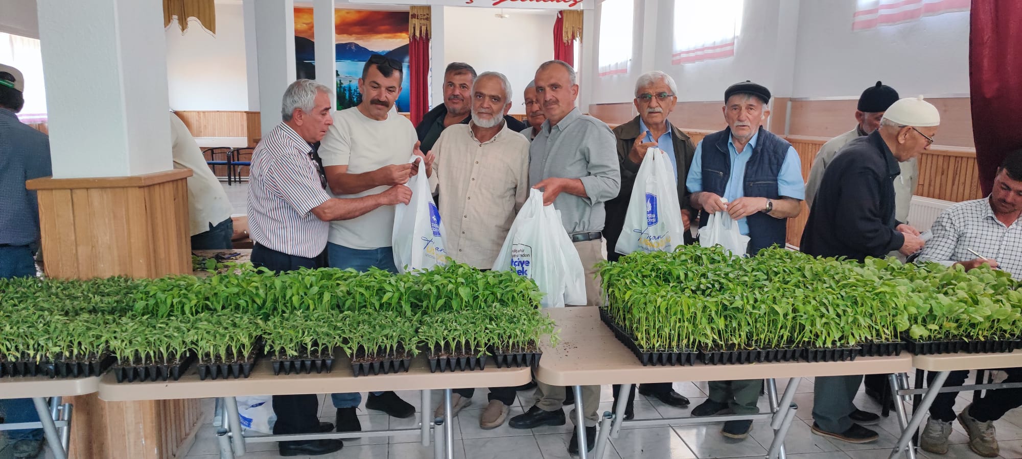 BELEDİYEDEN ÜRETİCİYE FİDE DESTEĞİ  - Görsel 13
