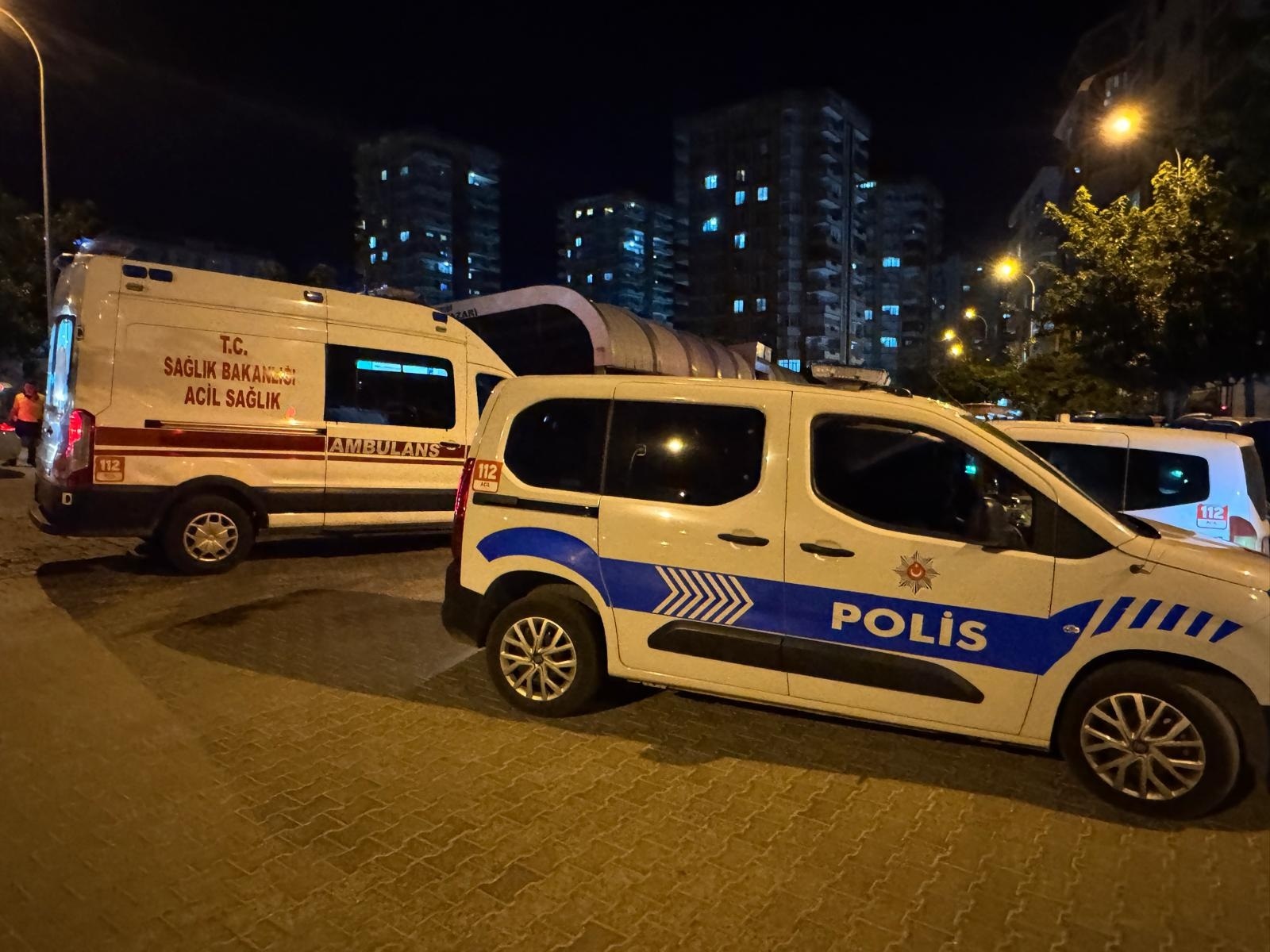 Kavgayı ayırmaya çalışan annesinin ölümüne neden oldu  - Görsel 1