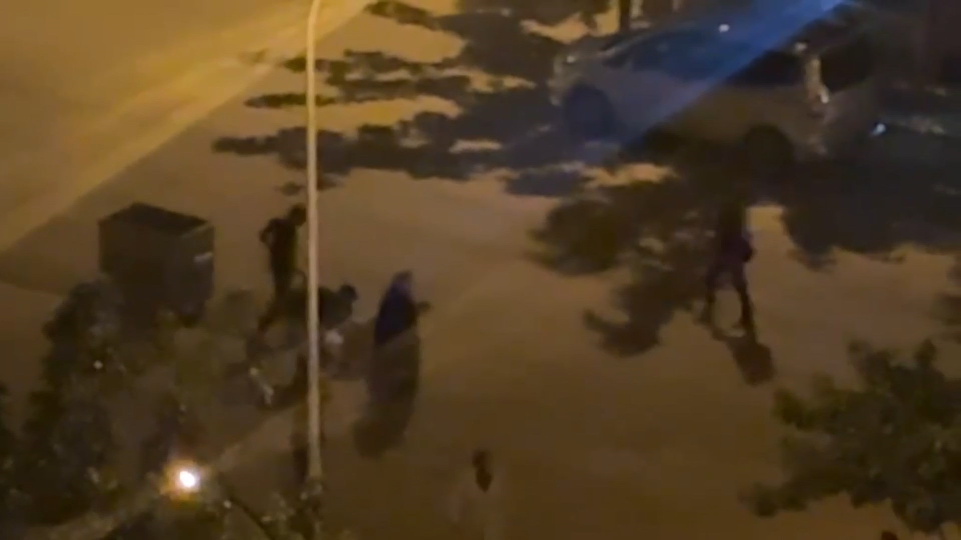 Kavgayı ayırmaya çalışan annesinin ölümüne neden oldu  - Görsel 5