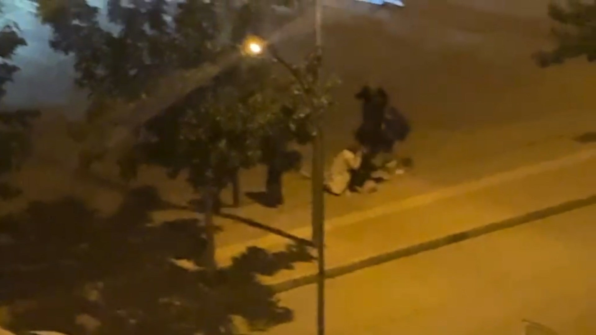 Kavgayı ayırmaya çalışan annesinin ölümüne neden oldu  - Görsel 6