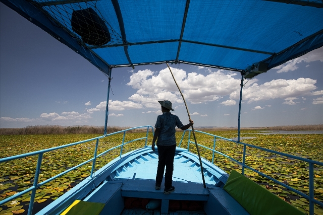 Beyşehir Gölü'nde balıkçı tekneleriyle gezilen nilüferler için tekne turları düzenleniyo