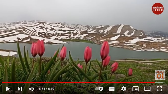 Eğrigöl 2022 Doğaseverler Dağ lalelerini ve Eğrigölü görmek için 25 km yürüdüler.
