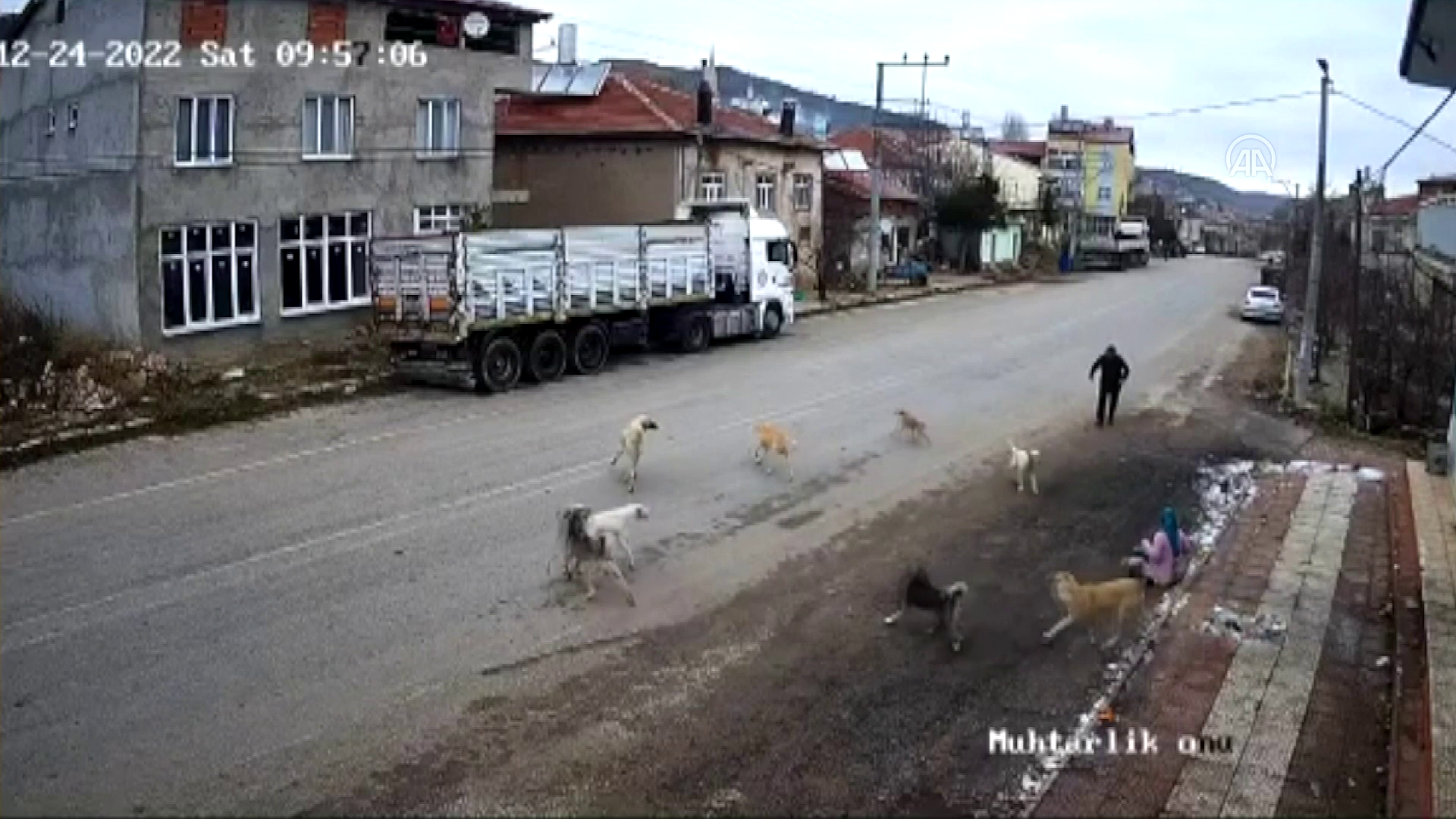 Konya'da 9 Sahipsiz köpeğin saldırısıyla yaralanan kadının yaşadıkları güvenlik kamerasında