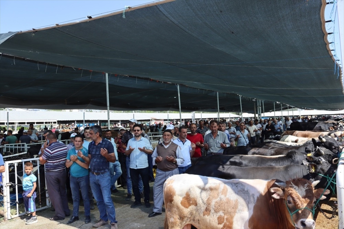 Seydişehir'de canlı hayvan pazarında Arife gün hareketliliği