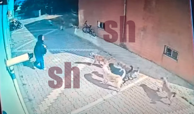Seydişehir’de okula giden lise öğrencisine sokak köpekleri saldırısı güvenlik kamerasında