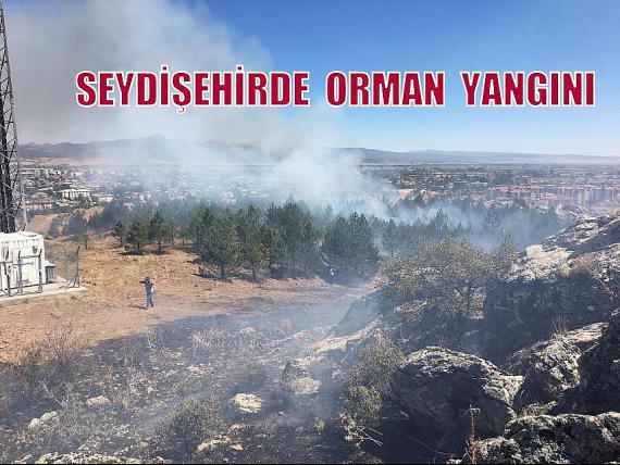 Seydişehir'de Orman Yangını
