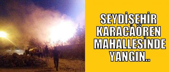 Seydişehir Karacaörende yangın 