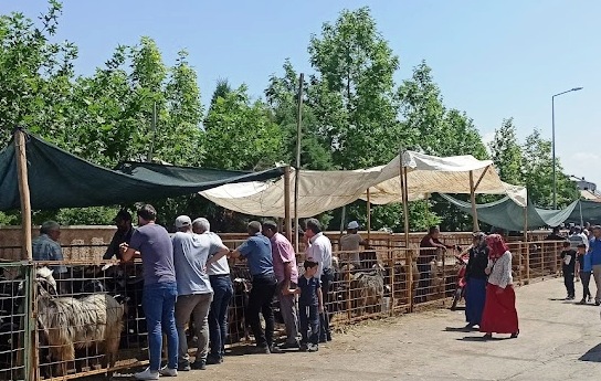 Seydişehir Kurban Pazarında  Arife  günü  heyecanı