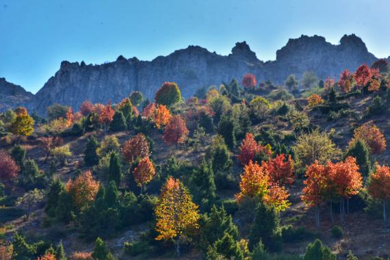 Torosların İncisi Küpe Dağında sonbahar güzelliği